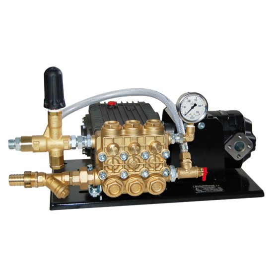 GMBH W3025 25 LTS 300 BAR 20 CV 1.450 RPM